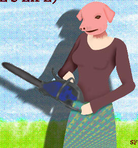 ibis paint
