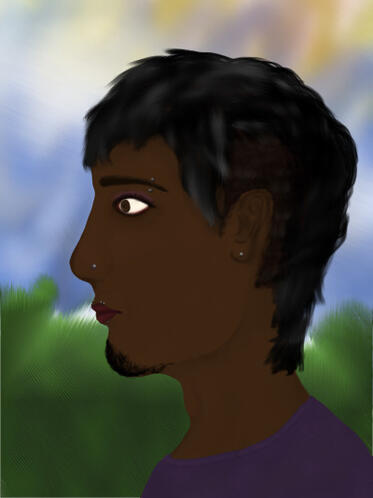 ibis paint